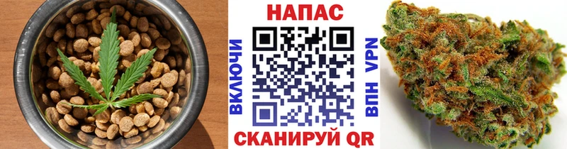 купить наркоту  гидра онион  Cannafood марихуана  Михайлов 