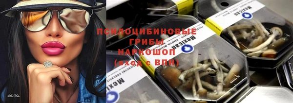 МДПВ Белокуриха