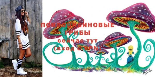 МДПВ Белокуриха