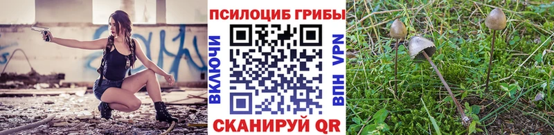 Галлюциногенные грибы прущие грибы  Михайлов 